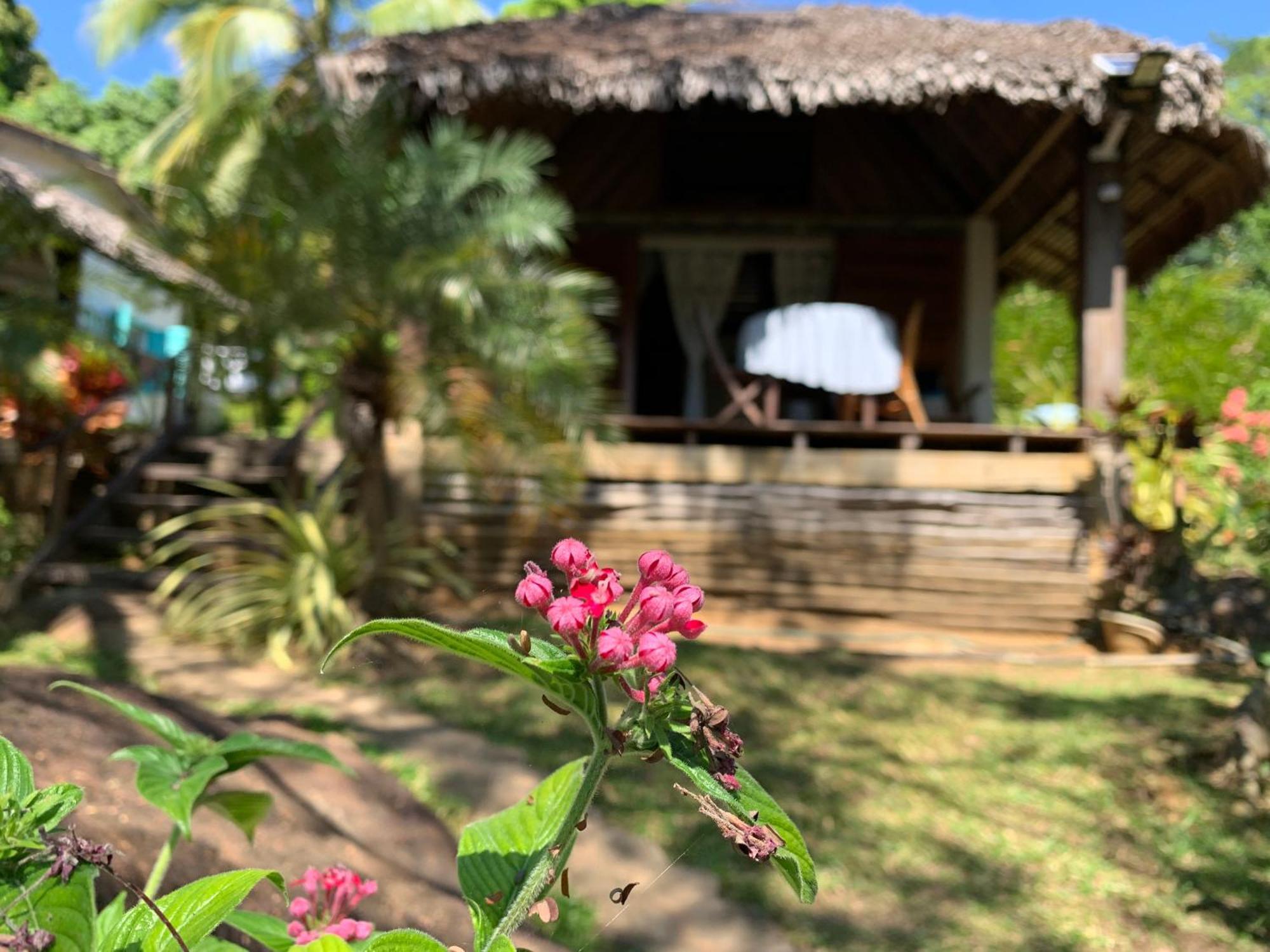 Les Jardins D'Ankify Acomodação com café da manhã Andimaka Exterior foto