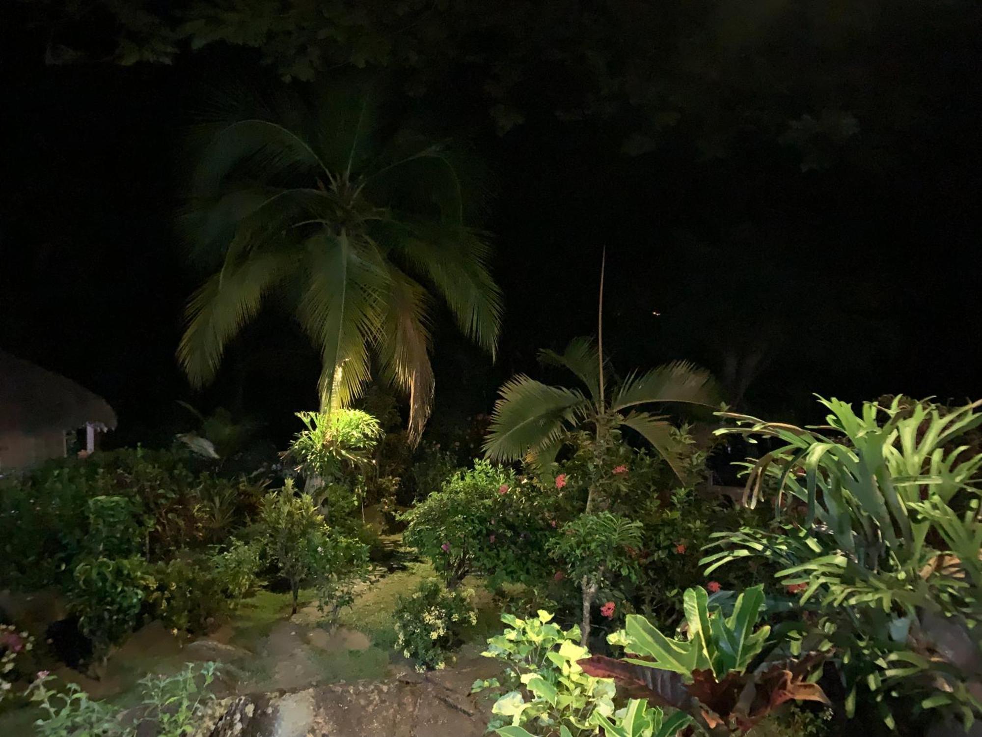 Les Jardins D'Ankify Acomodação com café da manhã Andimaka Exterior foto