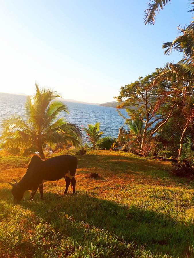 Les Jardins D'Ankify Acomodação com café da manhã Andimaka Exterior foto